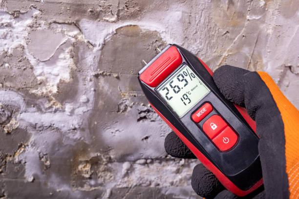 Best Mold Remediation  in Girard, IL