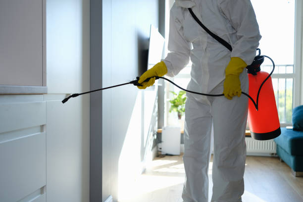 Best Same-Day Mold Removal  in Girard, IL