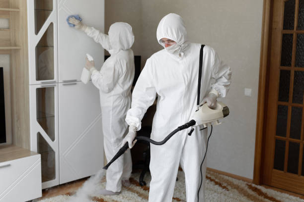 Best Best Mold Removal Companies  in Girard, IL