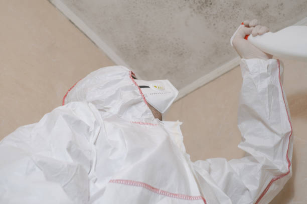 Best Mold Damage Repair  in Girard, IL